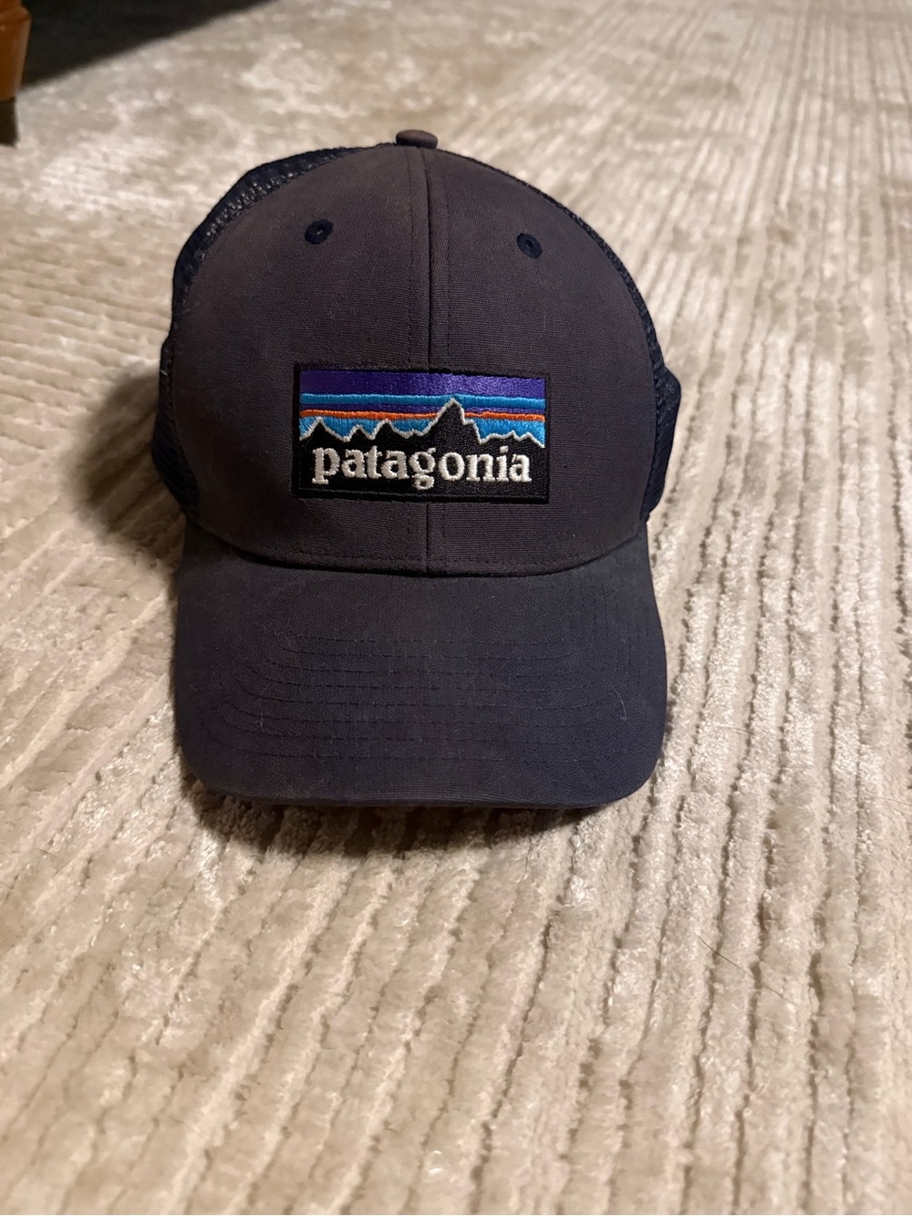 Patagonia Navy and Multicolor Patch Trucker Hat